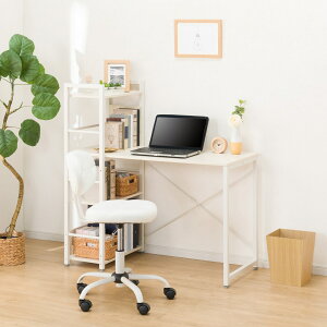 [110cm] VXefXN (ZK002 110) jg y֐斘[iz