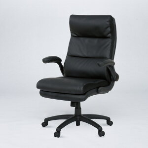 ItBX`FA (OC505 BK) jg y֐斘[iz ynƍՊԌ艿iF1/5܂Łz