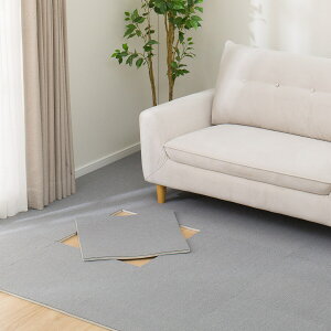 �h���^�C���J�[�y�b�g(50X50 T1)�@�j�g��