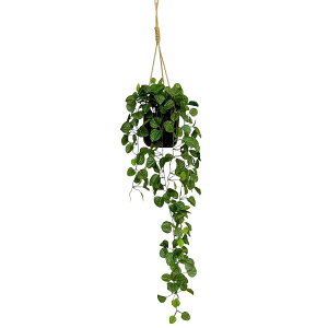 nLO|bg PR (yy~A HW04)@jg y֐斘[iz