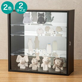 ディスプレイボックス (HS)　ニトリ 【玄関先迄納品】