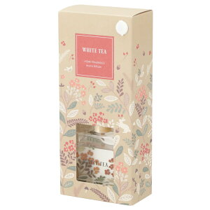 A}fBt[U[(MS AW01)y֐斘[iz jg