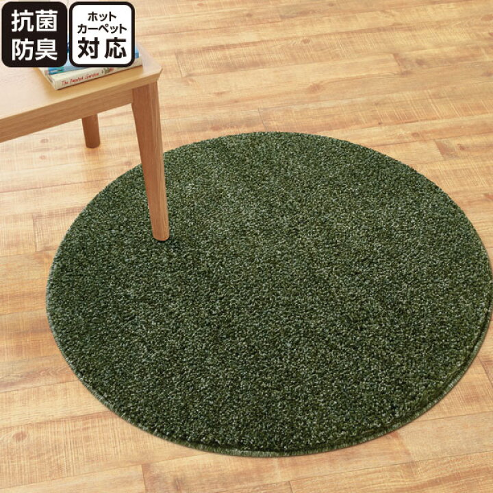 後悔 広がり 強風 ニトリ カーペット 丸 めんどり 配分 テーブルを設定する