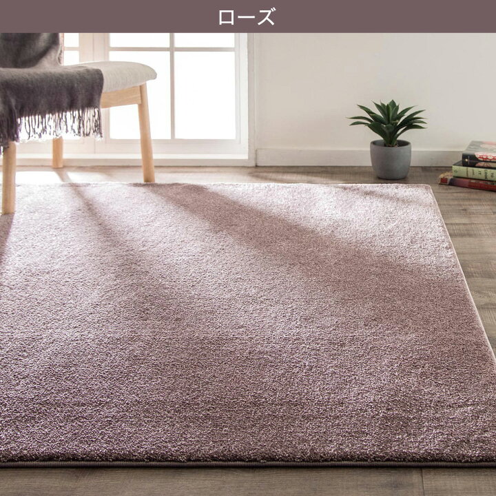 楽天市場】アクセントラグ (Nウィンザ 200X285) 【玄関先迄納品 