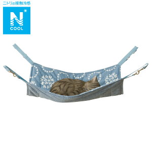 ybgnbN (NN[ S251)@jg y֐斘[iz