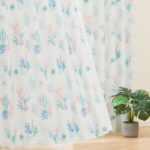 Ռ2EՔMJ[e(CU2410)@jg y֐斘[iz 100×110cm×2 100×135cm×2 100×178cm×2 100×200cm×2 100×110cm×1 100×135cm×1 100×178cm×1 100×200cm×