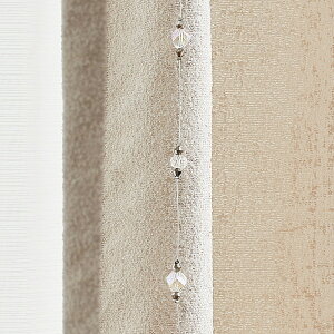 ���C���h���b�v(CB100 WH) �j�g�� �y���֐斘�[�i�z