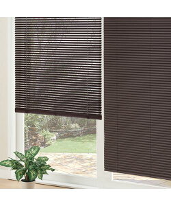 FႢ3F uCh(NX3) AC{[ CguE _[NuE jg y֐斘[iz