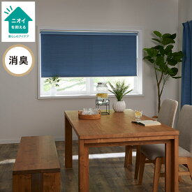 遮光・消臭ロールスクリーン (アクト BL 165X220) ニトリ 【玄関先迄納品】 【記念祭価格： 3/31まで】