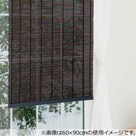 楽天市場 すだれ 室内の通販