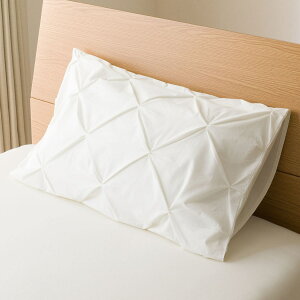 Jo[ (WH PT11) jg y֐斘[iz