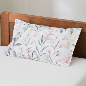 Jo[(PT30 {^jJ RO) jg y֐斘[iz