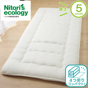 [₷ R hL ~zc (F2201) jg y֐斘[iz