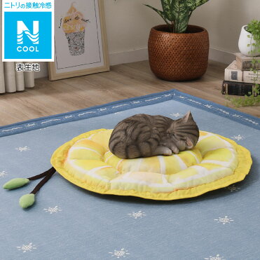 犬 猫用ペットベッド Nクール O I レモン ニトリ 玄関先迄納品 1年保証 合計金額7700円以上送料無料対象商品 Room 欲しい に出会える