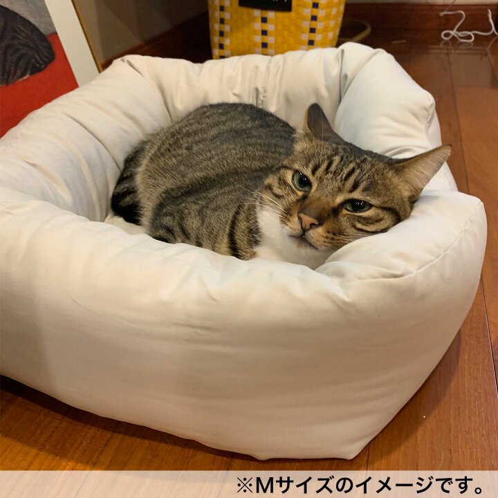 楽天市場 ペットベッド ｌ Nホテル シカク Gy L ニトリ 玄関先迄納品 1年保証 合計金額円以上送料無料対象商品 ニトリ