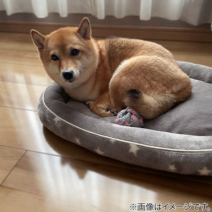 楽天市場 ペットベッド ｌ Nウォームi Nスターシカクl ニトリ 玄関先迄納品 1年保証 合計金額円以上送料無料対象商品 ニトリ