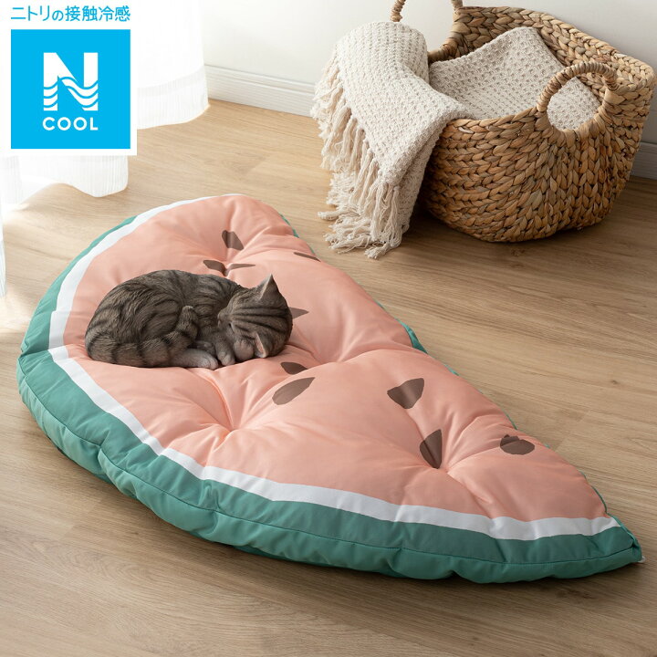 ボウリング 改修 カテナ スイカ ベッド 散逸 シットコム 希少性