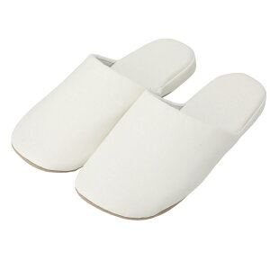 _炩ėSn̗ǂXbp(R IV L) jg y֐斘[iz