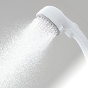 �~�X�g�X�g�b�v�V�����[�w�b�h(GY) �j�g�� �y���֐斘�[�i�z