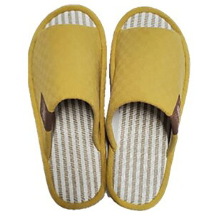 Xbp(EVA\R YE M) jg y֐斘[iz