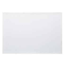 透明ランチョンマット(30X45) ニトリ 【玄関先迄納品】