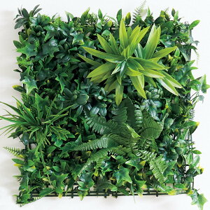 ベランダ 観葉植物の人気商品 通販 価格比較 価格 Com ベランダ 観葉植物の人気商品 通販 価格比較 価格 Com