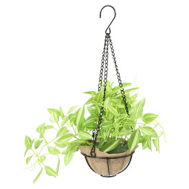 楽天市場 ハンギング グリーンの通販