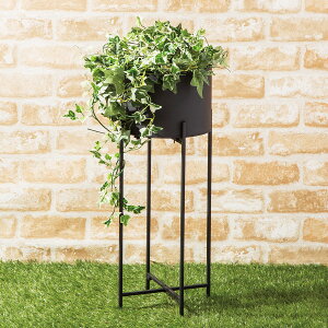 ニトリ 鉢の人気商品 通販 価格比較 価格 Com