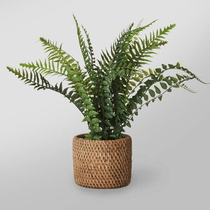 tFCNO[(V_ZgoXPbg YC L)@jg y֐斘[iz