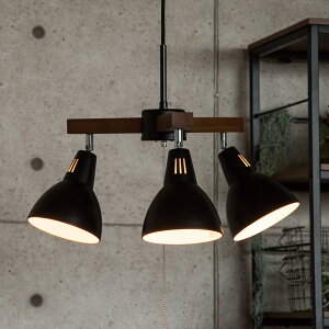 �y���_���g���C�g �{���� �j�g�� �y���֐斘�[�i�z