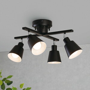 [52.5cm] 4V[OCg (LI-ZU X ubN) jg y֐斘[iz