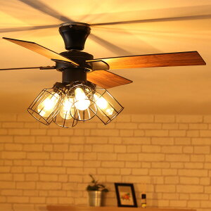 VINTAGE Collection V[Ot@ LEDdt@jg [J[E