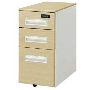 XS(NT-300-MLD _C OAK)y֐斘[izjg