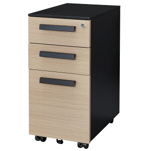 XS(TOAST W300-SM)y֐斘[izjg