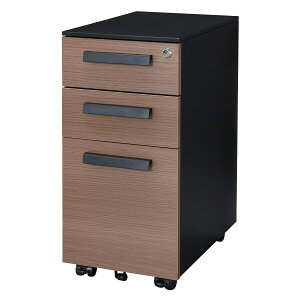 XS(TOAST W300-SM)y֐斘[izjg