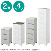 楽天市場】フィッツプラス 2段の通販