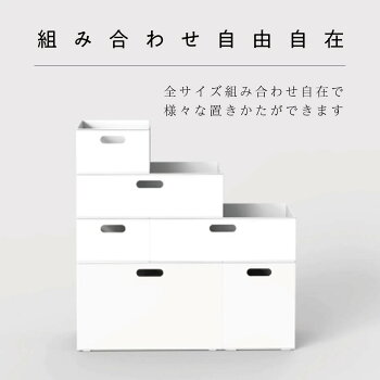 楽天市場 幅38 9cm 収納ケース Nインボックス W レギュラー ニトリ 玄関先迄納品 1年保証 合計金額円以上送料無料対象商品 ニトリ
