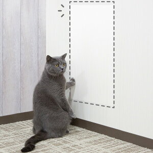 ܂Ƃh~V[g jg y֐斘[iz