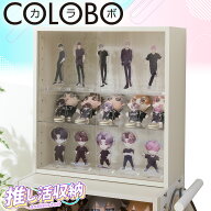推し活収納ディスプレイボックス(連結できるNカラボ)　【玄関先迄納品】 ニトリ