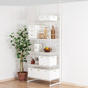 ˂ǖʎ[ N|_fB[v@jg y֐斘[iz ynƍՊԌ艿iF1/5܂Łz