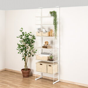 ˂ǖʎ[N|_(60cm)@jg y֐斘[iz ynƍՊԌ艿iF1/5܂Łz