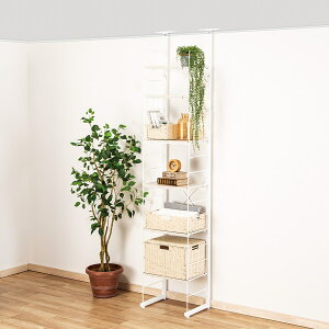 ˂ǖʎ[N|_(40cm)@jg y֐斘[iz