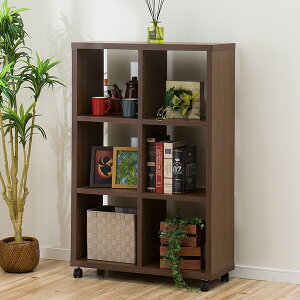 [��75cm]�p�[�e�B�V���� (�v���t�F 11675) �j�g�� �y���֐斘�[�i�z