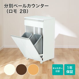 楽天市場 ダストボックス カウンターの通販