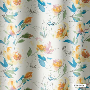 �i1������j�f�B�Y�j�[�J�[�e�� ���[�Y�K�[�f���y���[�J�[�����E���������z �j�g��