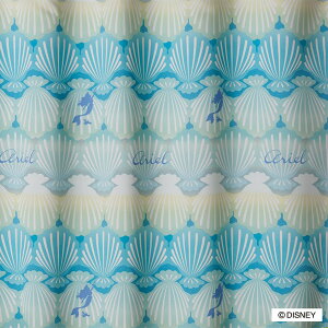 �i1������j�f�B�Y�j�[�J�[�e�� �V�F���y���[�J�[�����E���������z �j�g��