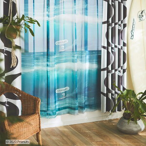 �i1������j�X�k�[�s�[���[�X �J���o���K BL�y���[�J�[�����E���������z �j�g��