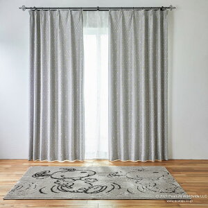 i1jXk[s[J[e {E^C y[J[Ez jg