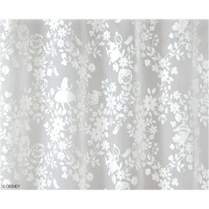 i1jfBYj[[X AXSF WHy[J[Ez jg