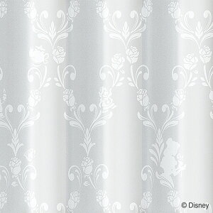 i1jfBYj[[X Cr[eB[ WHy[J[Ez jg